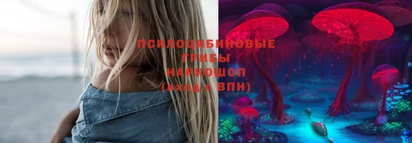 круглые Алексеевка