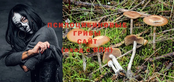 a pvp Алзамай