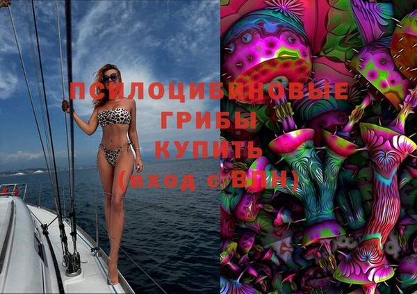 эйфоретик Алексин