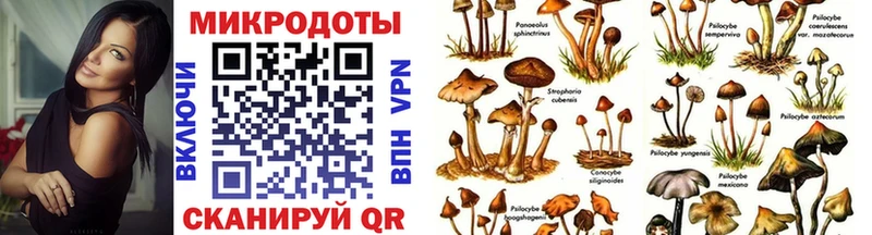 Псилоцибиновые грибы прущие грибы  Купить закладки  Городовиковск 